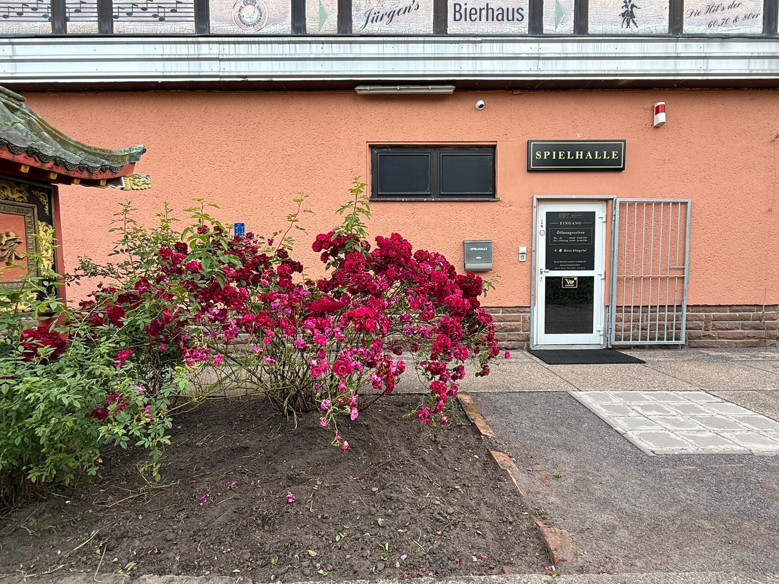 Eingang CT Spielhalle Haldensleben an der Masche 26a mit blühenden Rosen